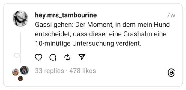 Gassi gehen: Der Moment, in dem mein Hund entscheidet, dass dieser eine Grashalm eine 10-minütige Untersuchung verdient