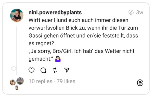Wirft euer Hund euch auch immer diesen vorwurfsvollen Blick zu, wenn ihr die Tür zum Gassi gehen öffnet und er/sie feststellt, dass es regnet?  „Ja sorry, Bro/Girl. Ich hab‘ das Wetter nicht gemacht.“ 🤷🏻‍♀️