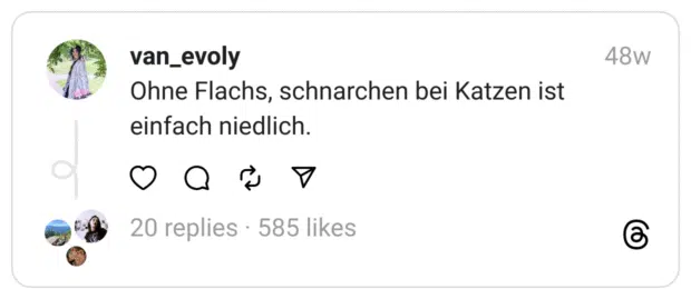 Ohne Flachs, schnarchen bei Katzen ist einfach niedlich.