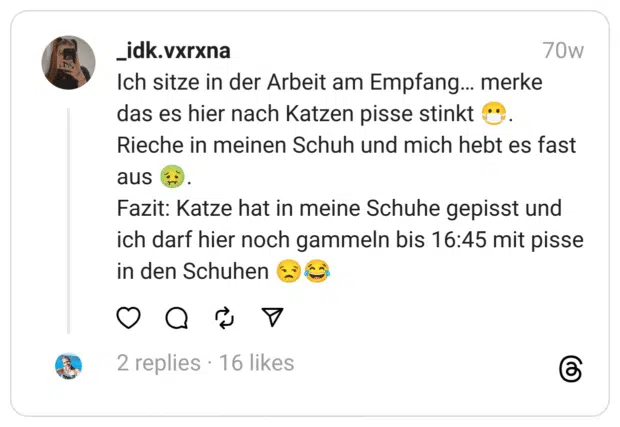Ich sitze in der Arbeit am Empfang… merke das es hier nach Katzen pisse stinkt 😷. Rieche in meinen Schuh und mich hebt es fast aus 🤢.
Fazit: Katze hat in meine Schuhe gepisst und ich darf hier noch gammeln bis 16:45 mit pisse in den Schuhen 😒😂