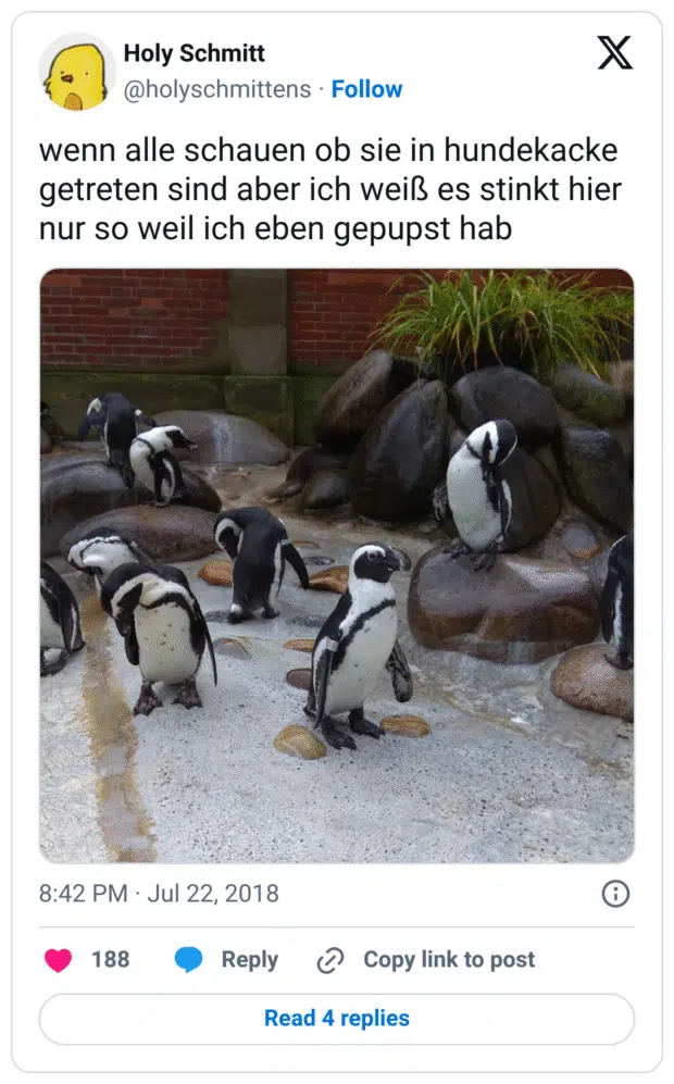 wenn alle schauen ob sie in hundekacke getreten sind aber ich weiß es stinkt hier nur so weil ich eben gepupst hab
