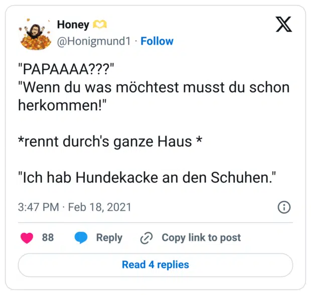 "PAPAAAA???"
"Wenn du was möchtest musst du schon herkommen!"

*rennt durch's ganze Haus *

"Ich hab Hundekacke an den Schuhen."