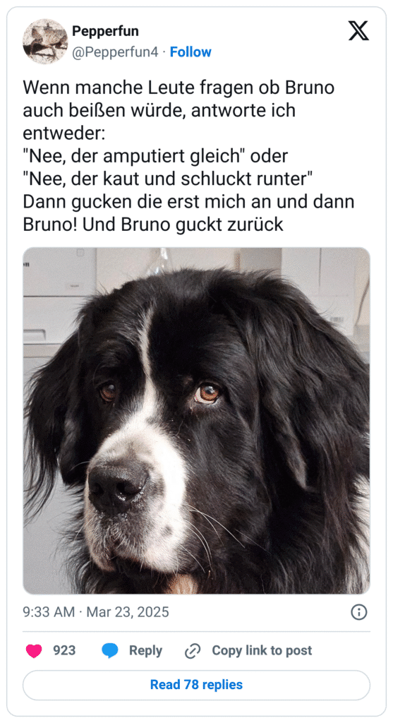 Wenn manche Leute fragen ob Bruno auch beißen würde, antworte ich entweder:
"Nee, der amputiert gleich" oder
"Nee, der kaut und schluckt runter"
Dann gucken die erst mich an und dann Bruno! Und Bruno guckt zurück
