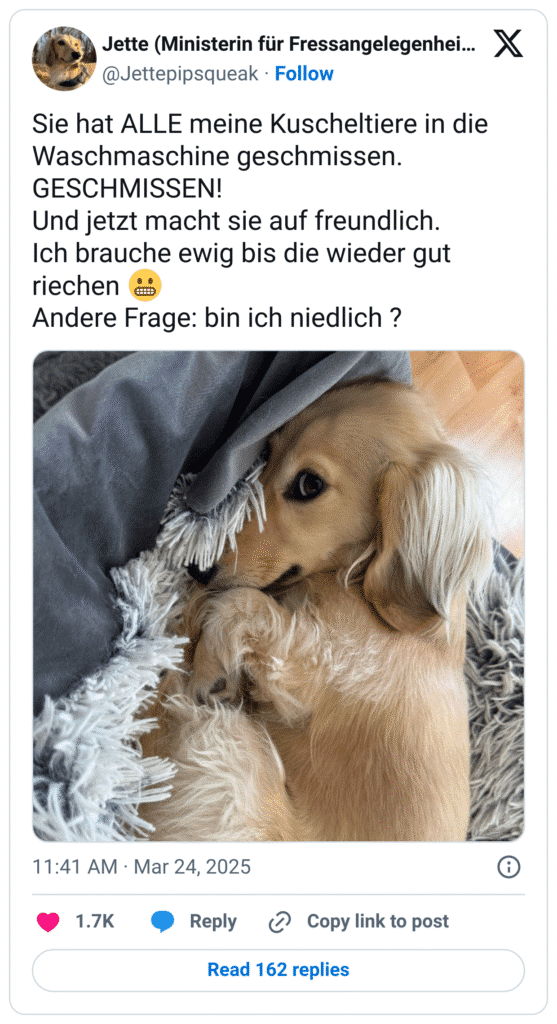 Sie hat ALLE meine Kuscheltiere in die Waschmaschine geschmissen. GESCHMISSEN! 
Und jetzt macht sie auf freundlich.
Ich brauche ewig bis die wieder gut riechen 😬
Andere Frage: bin ich niedlich ?
