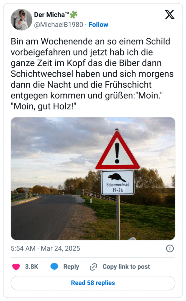 Bin am Wochenende an so einem Schild vorbeigefahren und jetzt hab ich die ganze Zeit im Kopf das die Biber dann Schichtwechsel haben und sich morgens dann die Nacht und die Frühschicht entgegen kommen und grüßen:"Moin." "Moin, gut Holz!"
