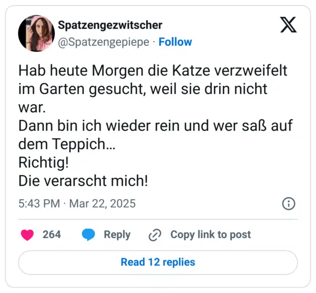 Hab heute Morgen die Katze verzweifelt im Garten gesucht, weil sie drin nicht war.
Dann bin ich wieder rein und wer saß auf dem Teppich…
Richtig!
Die verarscht mich!