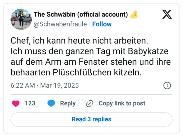 Chef, ich kann heute nicht arbeiten.
Ich muss den ganzen Tag mit Babykatze auf dem Arm am Fenster stehen und ihre behaarten Plüschfüßchen kitzeln.