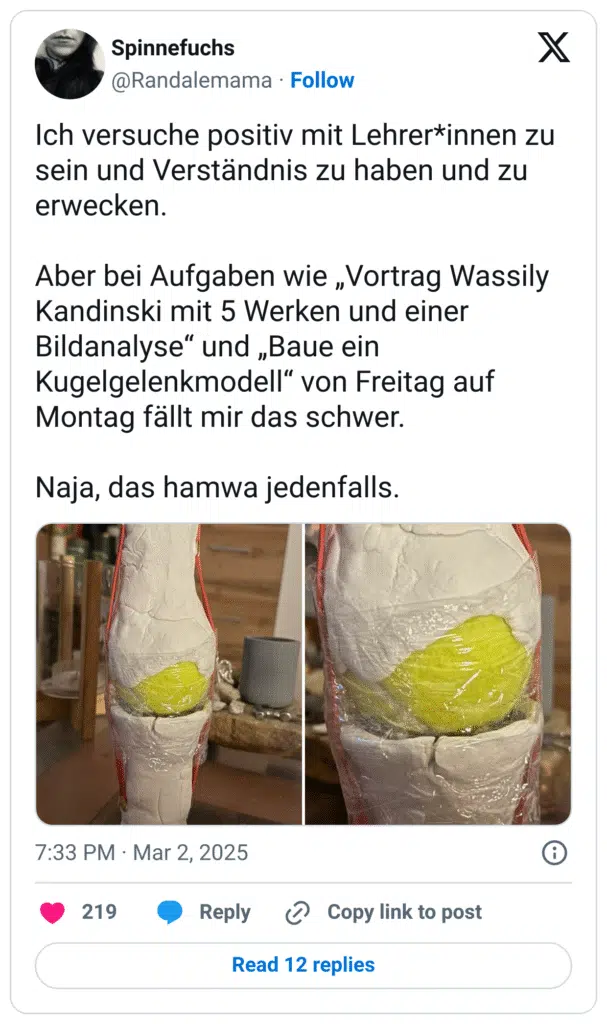 Ich versuche positiv mit Lehrer*innen zu sein und Verständnis zu haben und zu erwecken.

Aber bei Aufgaben wie „Vortrag Wassily Kandinski mit 5 Werken und einer Bildanalyse“ und „Baue ein Kugelgelenkmodell“ von Freitag auf Montag fällt mir das schwer.

Naja, das hamwa jedenfalls.