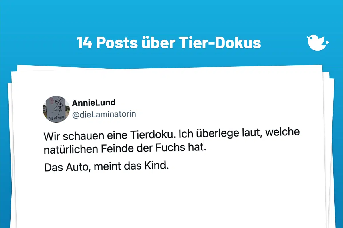 Wir schauen eine Tierdoku. Ich überlege laut, welche natürlichen Feinde der Fuchs hat. Das Auto, meint das Kind.