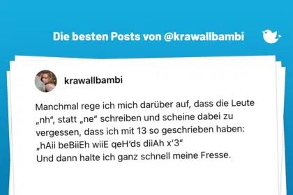 Manchmal rege ich mich darüber auf, dass die Leute „nh“, statt „ne“ schreiben und scheine dabei zu vergessen, dass ich mit 13 so geschrieben haben: „hAii beBiiEh wiiE qeH‘ds diiAh x‘3“ Und dann halte ich ganz schnell meine Fresse.