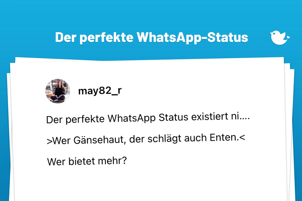 Der perfekte WhatsApp Status existiert ni…. >Wer Gänsehaut, der schlägt auch Enten.< Wer bietet mehr?
