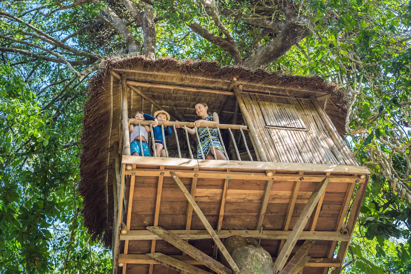 Abenteuer im Baumhaus – Kinder genießen ihre geheime Zuflucht hoch oben in den Bäumen