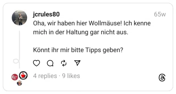 Oha, wir haben hier Wollmäuse! Ich kenne mich in der Haltung gar nicht aus.
Könnt ihr mir bitte Tipps geben?
