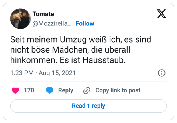Seit meinem Umzug weiß ich, es sind nicht böse Mädchen, die überall hinkommen. Es ist Hausstaub.
