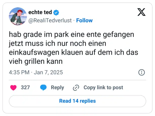 hab grade im park eine ente gefangen jetzt muss ich nur noch einen einkaufswagen klauen auf dem ich das vieh grillen kann