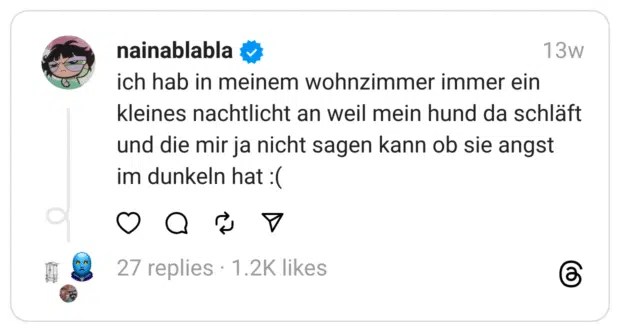 ich hab in meinem wohnzimmer immer ein kleines nachtlicht an weil mein hund da schläft und die mir ja nicht sagen kann ob sie angst im dunkeln hat :(  
