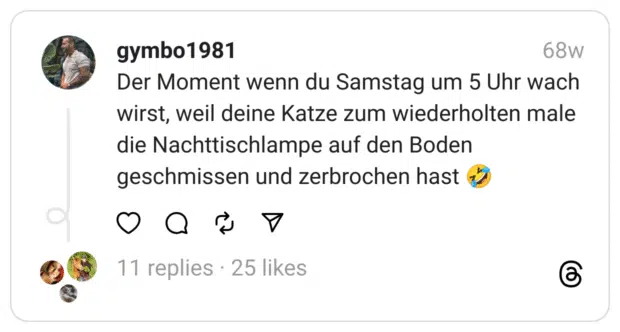 Der Moment wenn du Samstag um 5 Uhr wach wirst, weil deine Katze zum wiederholten male die Nachttischlampe auf den Boden geschmissen und zerbrochen hast 🤣  
