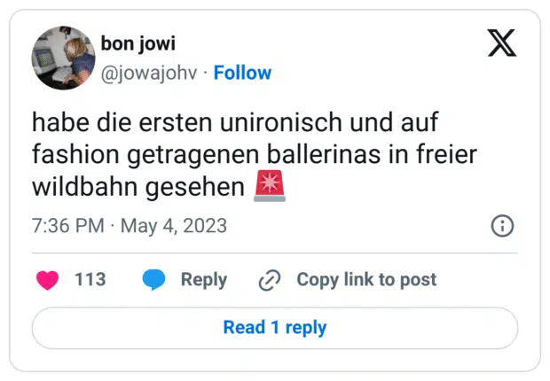 habe die ersten unironisch und auf fashion getragenen ballerinas in freier wildbahn gesehen 🚨
