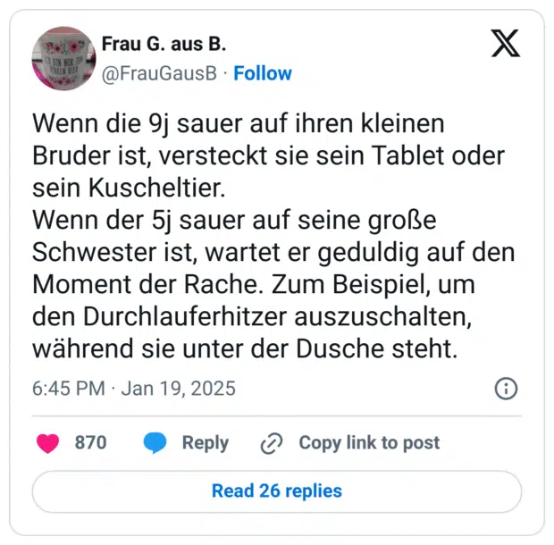 Wenn die 9j sauer auf ihren kleinen Bruder ist, versteckt sie sein Tablet oder sein Kuscheltier.
Wenn der 5j sauer auf seine große Schwester ist, wartet er geduldig auf den Moment der Rache. Zum Beispiel, um den Durchlauferhitzer auszuschalten, während sie unter der Dusche steht.