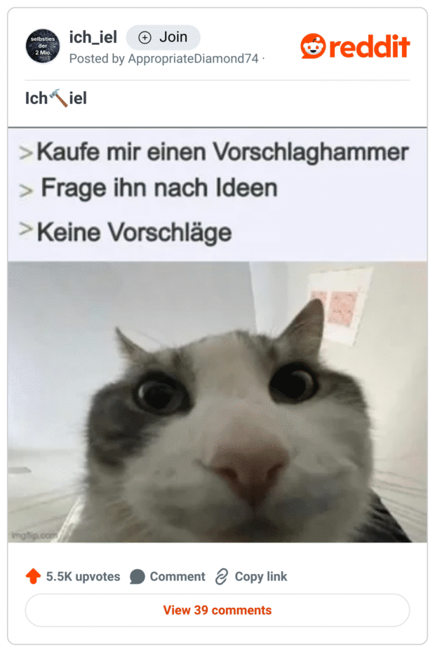 „Screenshot eines Reddit-Posts im Subreddit ‚ich_iel‘ mit dem Titel ‚Ich🛠️iel‘. Im Bild steht folgender Text im Stil eines absurden Listenwitzes:

Kaufe mir einen Vorschlaghammer
Frage ihn nach Ideen
Keine Vorschläge
Darunter ist ein Foto einer Katze zu sehen, die mit starkem Weitwinkel aus nächster Nähe aufgenommen wurde und direkt in die Kamera schaut. Die Szene wirkt komisch und leicht verwirrt.“