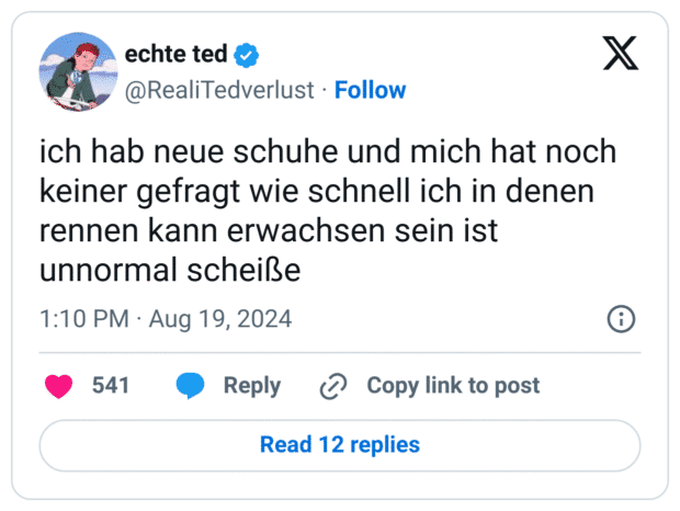 ich hab neue schuhe und mich hat noch keiner gefragt wie schnell ich in denen rennen kann erwachsen sein ist unnormal scheiße
