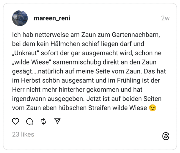 Ich hab netterweise am Zaun zum Gartennachbarn, bei dem kein Hälmchen schief liegen darf und „Unkraut“ sofort der gar ausgemacht wird, schon ne „wilde Wiese“ samenmischubg direkt an den Zaun gesägt….natürlich auf meine Seite vom Zaun. Das hat im Herbst schön ausgesamt und im Frühling ist der Herr nicht mehr hinterher gekommen und hat irgendwann ausgegeben. Jetzt ist auf beiden Seiten vom Zaun eben hübschen Streifen wilde Wiese 😉