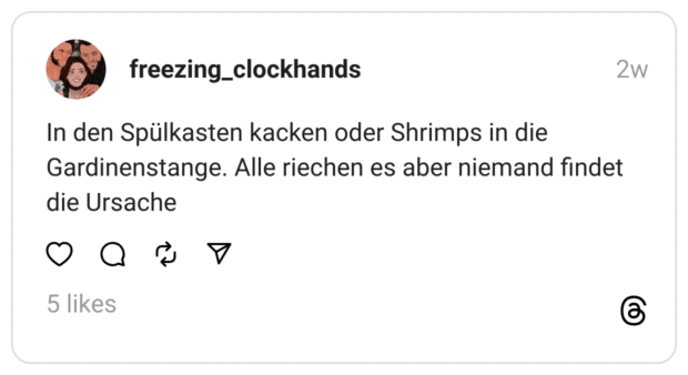 In den Spülkasten kacken oder Shrimps in die Gardinenstange. Alle riechen es aber niemand findet die Ursache