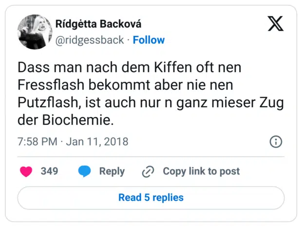Dass man nach dem Kiffen oft nen Fressflash bekommt aber nie nen Putzflash, ist auch nur n ganz mieser Zug der Biochemie.
