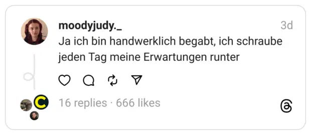 Ja ich bin handwerklich begabt, ich schraube jeden Tag meine Erwartungen runter