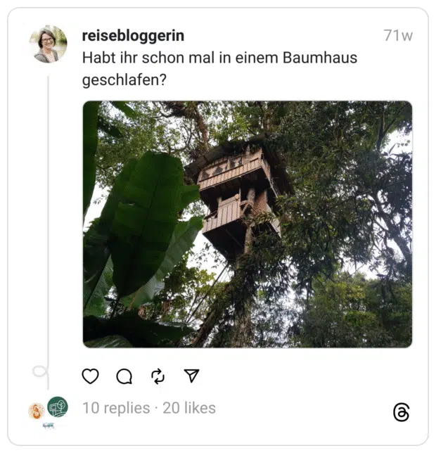 Habt ihr schon mal in einem Baumhaus geschlafen?
