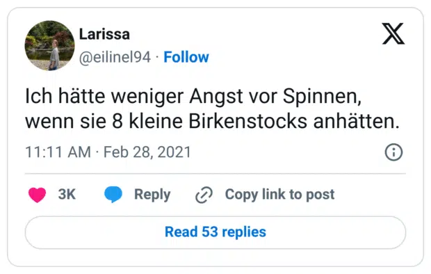 Ich hätte weniger Angst vor Spinnen, wenn sie 8 kleine Birkenstocks anhätten.
