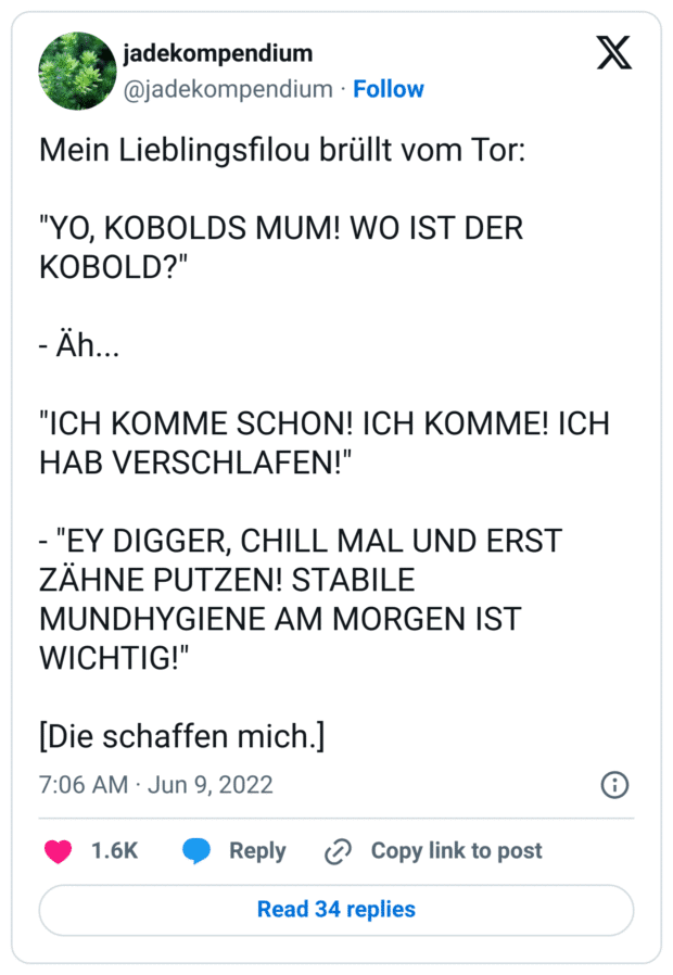Mein Lieblingsfilou brüllt vom Tor:

"YO, KOBOLDS MUM! WO IST DER KOBOLD?"

- Äh... 

"ICH KOMME SCHON! ICH KOMME! ICH HAB VERSCHLAFEN!"

- "EY DIGGER, CHILL MAL UND ERST ZÄHNE PUTZEN! STABILE MUNDHYGIENE AM MORGEN IST WICHTIG!"

[Die schaffen mich.]