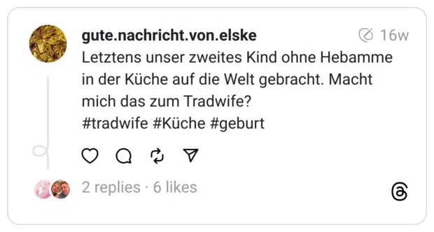 Letztens unser zweites Kind ohne Hebamme in der Küche auf die Welt gebracht. Macht mich das zum Tradwife? #tradwife #Küche #geburt