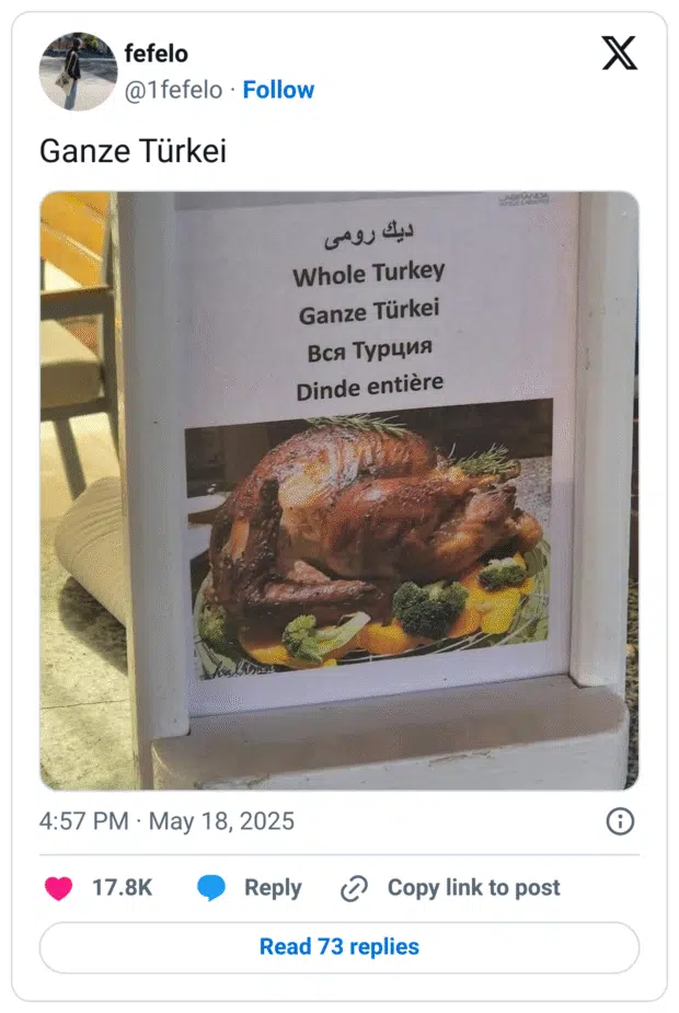 Ein Restaurant-Schild zeigt ein Foto von einem gebratenen Truthahn mit der mehrsprachigen Beschriftung:
„Whole Turkey“, „Ganze Türkei“, „Вся Турция“, „Dinde entière“.
Die deutsche Übersetzung ist falsch, da „Turkey“ im Englischen sowohl das Land „Türkei“ als auch das Tier „Truthahn“ bedeuten kann.
Statt „Ganze Türkei“ hätte es korrekt „Ganzer Truthahn“ heißen müssen. Das Meme lebt vom Übersetzungsfehler und dem dadurch entstehenden absurden Bild.
