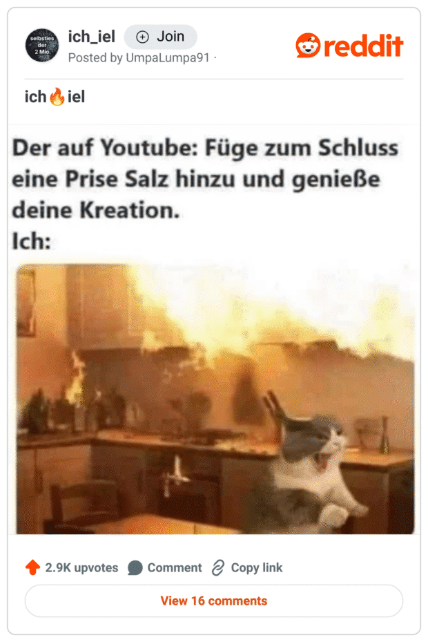 Ein Meme zeigt eine brennende Küche mit Flammen, die aus dem Herd schlagen. Im Vordergrund sitzt eine erschrockene, schreiende Katze mit weit aufgerissenem Maul.
Text darüber:
„Der auf YouTube: Füge zum Schluss eine Prise Salz hinzu und genieße deine Kreation.
Ich:“
Das Bild spielt humorvoll auf das Missverhältnis zwischen entspannten Kochanleitungen und katastrophalen realen Ergebnissen an.