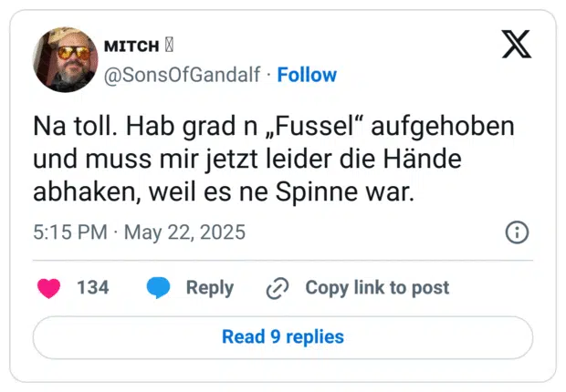 Na toll. Hab grad n „Fussel“ aufgehoben und muss mir jetzt leider die Hände abhaken, weil es ne Spinne war.
