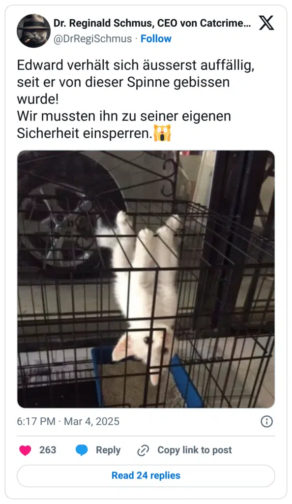 Edward verhält sich äusserst auffällig, seit er von dieser Spinne gebissen wurde!
Wir mussten ihn zu seiner eigenen Sicherheit einsperren.🙀