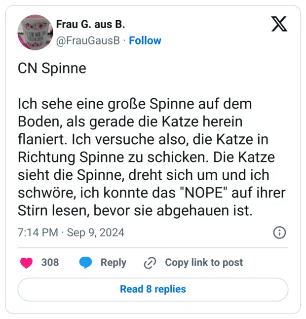 Ich sehe eine große Spinne auf dem Boden, als gerade die Katze herein flaniert. Ich versuche also, die Katze in Richtung Spinne zu schicken. Die Katze sieht die Spinne, dreht sich um und ich schwöre, ich konnte das "NOPE" auf ihrer Stirn lesen, bevor sie abgehauen ist.
