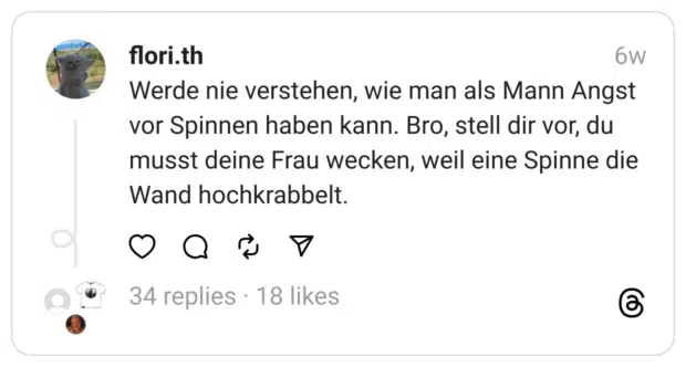 Werde nie verstehen, wie man als Mann Angst vor Spinnen haben kann. Bro, stell dir vor, du musst deine Frau wecken, weil eine Spinne die Wand hochkrabbelt.
