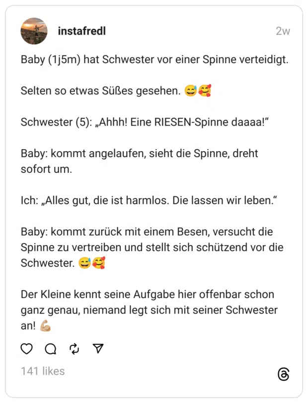 Baby (1j5m) hat Schwester vor einer Spinne verteidigt.
Selten so etwas Süßes gesehen. 😅🥰
Schwester (5): „Ahhh! Eine RIESEN-Spinne daaaa!“
Baby: kommt angelaufen, sieht die Spinne, dreht sofort um.
Ich: „Alles gut, die ist harmlos. Die lassen wir leben.“
Baby: kommt zurück mit einem Besen, versucht die Spinne zu vertreiben und stellt sich schützend vor die Schwester. 😅🥰
Der Kleine kennt seine Aufgabe hier offenbar schon ganz genau, niemand legt sich mit seiner Schwester an! 💪🏼