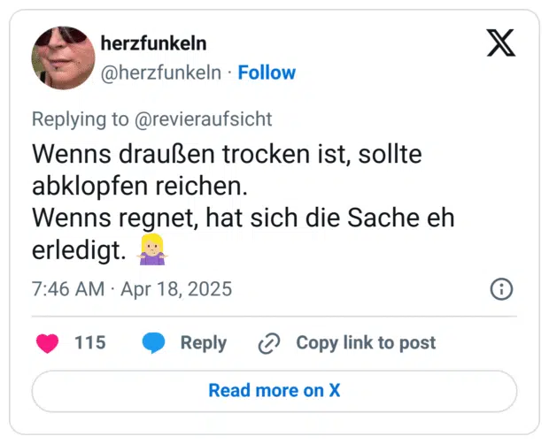 Wenns draußen trocken ist, sollte abklopfen reichen.
Wenns regnet, hat sich die Sache eh erledigt. 🤷🏼‍♀️