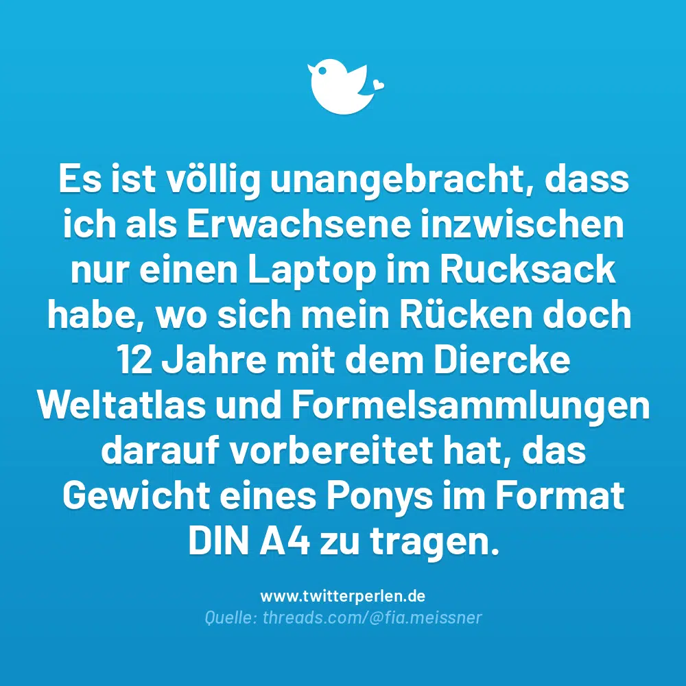 Es ist völlig unangebracht, dass ich als Erwachsene inzwischen nur einen Laptop im Rucksack habe, wo sich mein Rücken doch
12 Jahre mit dem Diercke Weltatlas und Formelsammlungen darauf vorbereitet hat, das Gewicht eines Ponys im Format
DIN A4 zu tragen.
