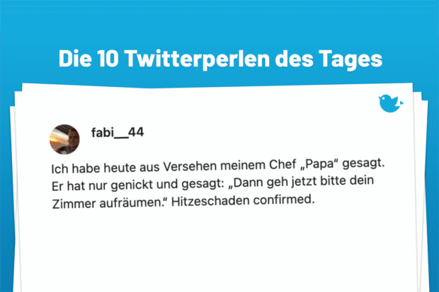 Die Twitterperlen des Tages vom 23. Juni 2025: Ich habe heute aus Versehen meinem Chef „Papa“ gesagt. Er hat nur genickt und gesagt: „Dann geh jetzt bitte dein Zimmer aufräumen.“ Hitzeschaden confirmed.