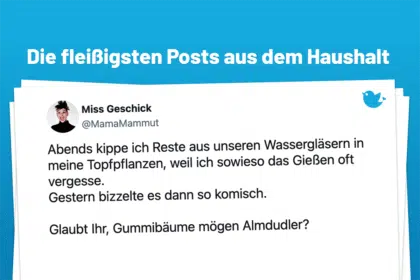 Abends kippe ich Reste aus unseren Wassergläsern in meine Topfpflanzen, weil ich sowieso das Gießen oft vergesse. Gestern bizzelte es dann so komisch. Glaubt Ihr, Gummibäume mögen Almdudler?