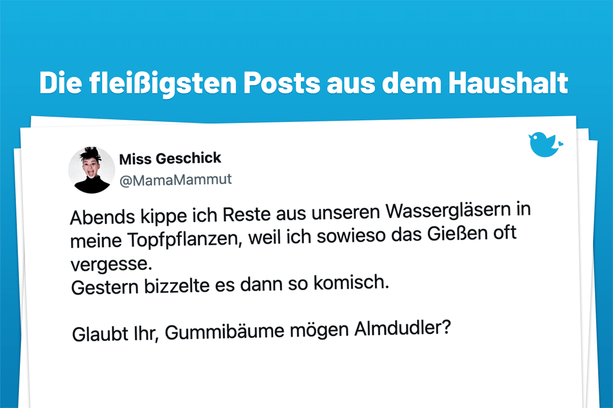 Abends kippe ich Reste aus unseren Wassergläsern in meine Topfpflanzen, weil ich sowieso das Gießen oft vergesse. Gestern bizzelte es dann so komisch. Glaubt Ihr, Gummibäume mögen Almdudler?