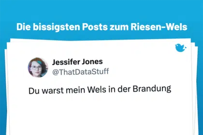 Ins Netz gegangen: 17 bissige Posts zum bayerischen Riesen-Wels: Du warst mein Wels in der Brandung