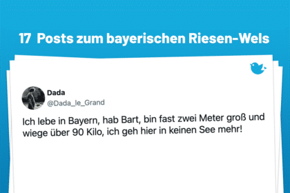 Ins Netz gegangen: 17 bissige Posts zum bayerischen Riesenwels