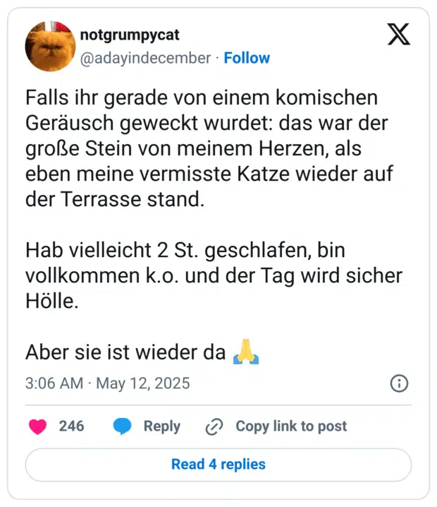 Falls ihr gerade von einem komischen Geräusch geweckt wurdet: das war der große Stein von meinem Herzen, als eben meine vermisste Katze wieder auf  der Terrasse stand. 

Hab vielleicht 2 St. geschlafen, bin vollkommen k.o. und der Tag wird sicher Hölle.

Aber sie ist wieder da 🙏