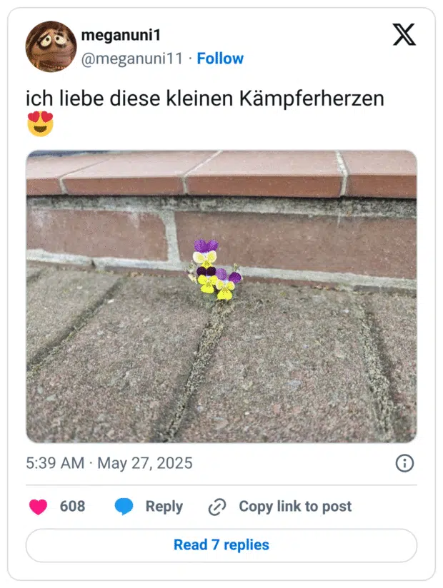 ich liebe diese kleinen Kämpferherzen 😍