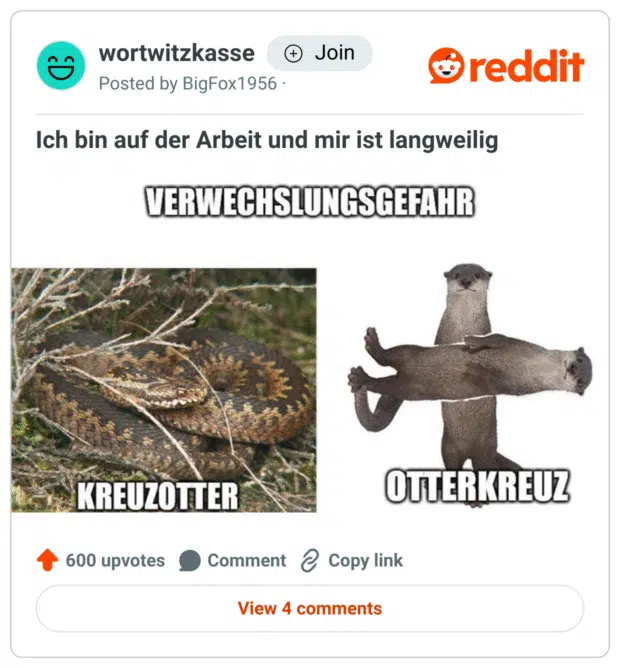 Zweiteiliges Meme mit dem Titel „Verwechslungsgefahr“:
Links ist eine zusammengerollte Kreuzotter zu sehen, darunter steht „Kreuzotter“.
Rechts sind zwei Otter zu einem Kreuz arrangiert – einer liegt waagerecht, der andere senkrecht darauf –, darunter steht „Otterkreuz“.
Ein klassischer Flachwitz basierend auf der Umkehrung zweier Wortbestandteile.